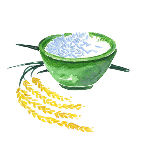 Riz